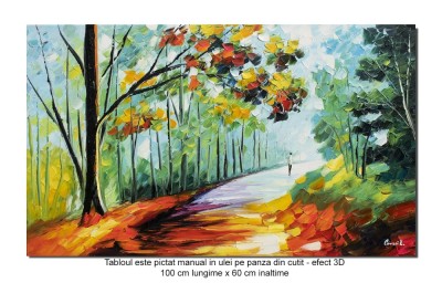 Tablou living pictat manual, Pe drumul meu, 100x60cm ulei pe panza in cutit, efect 3D, Spectaculos foto