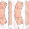 Set placute frana,frana disc IVECO DAILY V platou / sasiu (2011 - 2014) TRW GDB1780