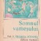 Somnul vamesului, Volumul al III-lea, Gradina icoanei