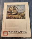 Schweitzer Cumpana de Gheorghe Poenaru