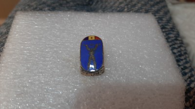insigna Energetician foto