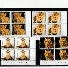 Togo 2016-Fauna,leopard,leu,pantera,tigru,serie 4 val.,bloc 4,MNH,Mi.7929-7932