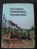 Peregrinul transilvan - I. Codru Dragusanu