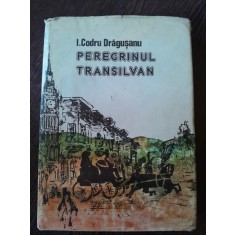 Peregrinul transilvan - I. Codru Dragusanu