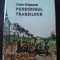 Peregrinul transilvan - I. Codru Dragusanu