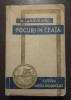 Mihail Sadoveanu - Focuri &icirc;n ceață (1942) (Locul unde nu s-a &icirc;nt&acirc;mplat nimic...)