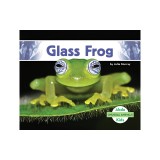 Glass Frog