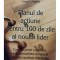 George B. Bradt - Planul de actiune pentru 100 de zile al noului lider (Editia: 2009)