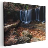 Tablou peisaj cascada in Karuizawa Japonia Tablou canvas pe panza CU RAMA 20x30 cm