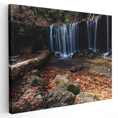 Tablou peisaj cascada in Karuizawa Japonia Tablou canvas pe panza CU RAMA 30x40 cm foto