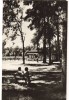 CPIB 22081 - CARTE POSTALA - CARANSEBES. PARCUL TEIUS, Circulata, Fotografie