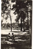 CPIB 22081 - CARTE POSTALA - CARANSEBES. PARCUL TEIUS