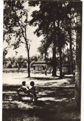 CPIB 22081 - CARTE POSTALA - CARANSEBES. PARCUL TEIUS foto