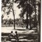 CPIB 22081 - CARTE POSTALA - CARANSEBES. PARCUL TEIUS