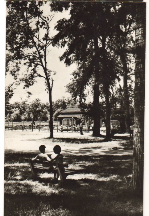CPIB 22081 - CARTE POSTALA - CARANSEBES. PARCUL TEIUS
