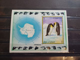 UMM AL QIWAIN 1972-MNH-PINGUINI-COLITA NDT, Nestampilat