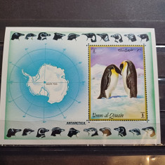 UMM AL QIWAIN 1972-MNH-PINGUINI-COLITA NDT