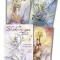 Shadowscapes Tarot [With Booklet]