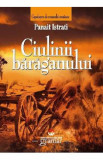 Ciulinii Baraganului - Panait Istrati