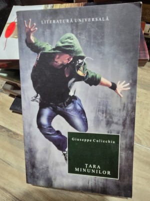 Tara minunilor - Giuseppe Culicchia foto