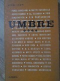 Umbre Vol. 4 - Aurel Leon, Junimea 1978, Roman, Beletristica, Coperta Necartonata, Limba Romana, 300 Pagini
