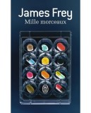 Mille morceaux | James Frey