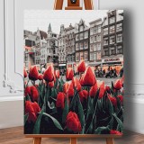 Set pictura pe numere (panza) Lalele in Amsterdam 50x40 cm, Jad