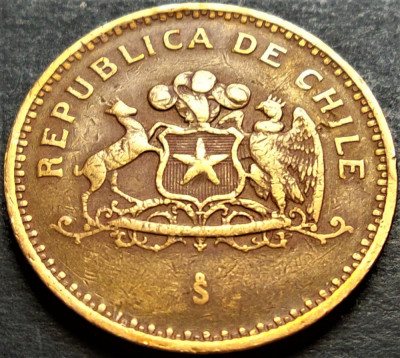 Moneda exotica 100 PESOS - CHILE, anul 1996 * cod 1747 A foto