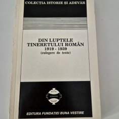 Istorie Din luptele tineretului roman 1919 - 1939