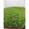 Gazon Artificial Sri Lanka, Inaltime Fir 20 mm, Latime 1m, Marime 100 x 100 cm, Verde, Antialergic, Polipropilena, Curte, Terasa, Balcon, Piscina, Loc
