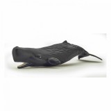 Figurina - Marine Life - Sperm Whale Calf | Papo