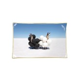 Gray Malin Llamas Porcelain Tray