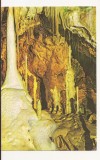 RF23 -Carte Postala- Pestera Ursilor-Chiscau, circulata