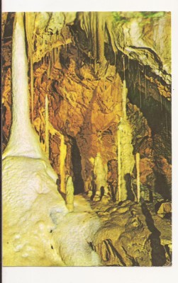 RF23 -Carte Postala- Pestera Ursilor-Chiscau, circulata foto