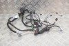 Cablaj ușă st&acirc;nga spate TESLA MODEL S 2018 OEM: 1004425-00-V 12610198