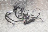 Cablaj ușă st&acirc;nga spate TESLA MODEL S 2018 OEM: 1004425-00-V 12610198