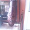 Masca veche Arta Africana Sculptura in Lemn