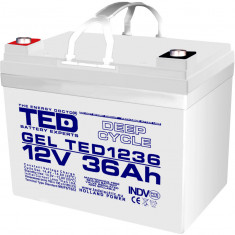 Acumulator AGM VRLA 12V 36Ah Plumb GEL Deep Cycle 195x128x155 mm M6 terminal TED Battery Expert Holland