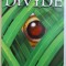 THE DIVIDE by ELIZABETH KAY ,