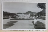 BRASOV - VEDERE SPRE ADMINISTRATIA FINANCIARA , FOTOGRAFIE TIP CARTE POSTALA , STUDIO KLEIN BRAILA , MONOCROMA, DATATA 1933