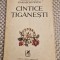 Cantece tiganesti Miron Radu Parschivescu