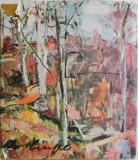 Aurel Ciupe &ndash; Raoul Sorban - Carte