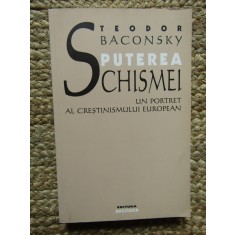 PUTEREA SCHISMEI - Teodor Baconsky - Editura Anastasia, 2001, 223 p.