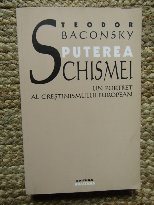 PUTEREA SCHISMEI - Teodor Baconsky - Editura Anastasia, 2001, 223 p.