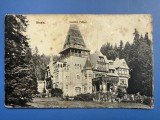 Carte Postala Romania Sinaia - Castelul Pelisor