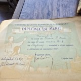 Diploma de merit Popa I. Ioan, 1959