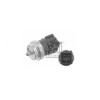 Bulb / contact / senzor apa Solenza / Papuc diesel 11186 biz1377211