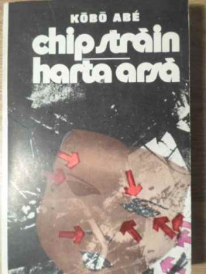 CHIP STRAIN. HARTA ARSA-KOBO ABE foto