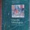 EDUCATIE TEHNOLOGICA CLASA A VII A IARINCA PETRESCU CIOBANU EDITURA CORINT