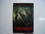 Istoricul mineritului de la salina Praid - Horvath Istvan